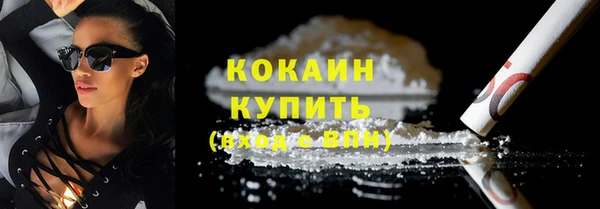 соль ск Краснослободск