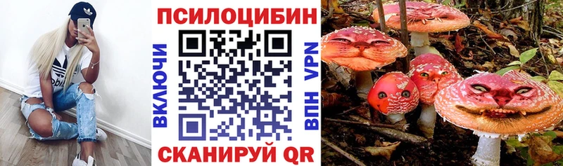 Галлюциногенные грибы Cubensis  цена   Чадан 