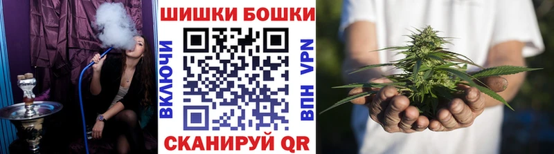 Бошки Шишки VHQ Чадан